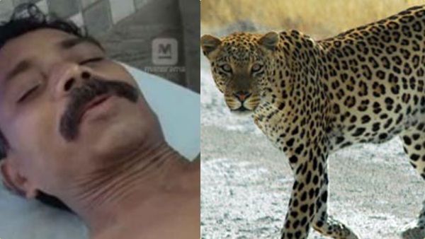 நம்புனாதான் சோறு.. இது அப்படியில்லை.. நிஜமாகவே சிறுத்தையை சண்டை போட்டு கொன்ற இளைஞன்.. கேரளாவில் பரபர