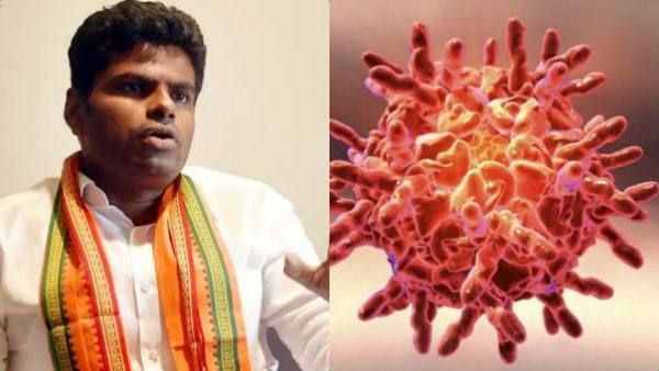 தமிழக அரசுடன் இணைந்து செயல்படுவோம்.. முன்வந்த அண்ணாமலை.. இன்புளூயன்சா பரவலை தடுக்க வேண்டுகோள்!