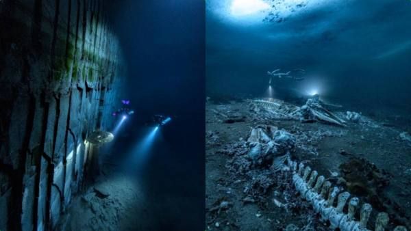 திமிங்கலங்களின் சுடுகாடு தெரியுமா? உள்ளே போய் பார்த்தால் யப்பா.. என்ன இப்படி இருக்கே! பரபர போட்டோ