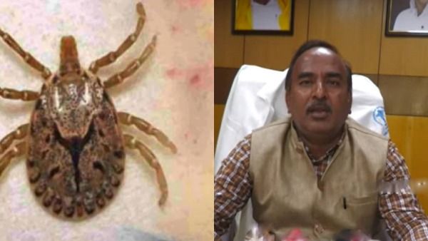 ஜாக்கிரதை! உயிருக்கே ஆபத்தை ஏற்படுத்தும் 'ஸ்க்ரப் டைபஸ்' காய்ச்சல்! அரசு மருத்துவமனை டீன் எச்சரிக்கை