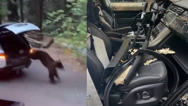 ஒரே நாள் ராத்திரி.. முழு காரும் க்ளோஸ்.. கதற வைத்து கரடியார் செய்த தரமான சம்பவம்!