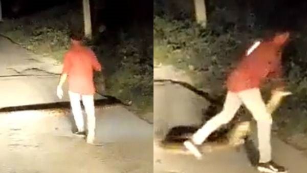 சாலையின் குறுக்கே கிடந்த10 அடி நீள பாம்பு.. ஒரே செகண்ட் தான்..அலேக்காக தூக்கிய நபர்.. பரவும் வீடியோ!