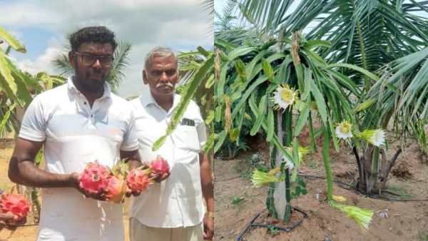 டெலிகாம் தொழிலில் 10 லட்சம் நஷ்டம்; போர் போட்டு 20 லட்சம் நஷ்டம்! ட்ராகன் மூலம் வென்ற இளம் விவசாயி!