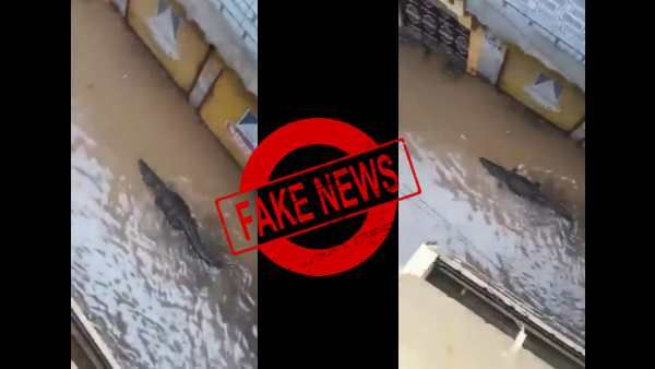 Fact Check: என்னாது பெங்களூர் மழை வெள்ளத்தில் முதலை அடித்து வரப்பட்டதா? உண்மை என்ன? 
