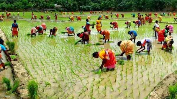 எஸ்.சி, எஸ்.டி விவசாயிகள் மின் இணைப்பு பெற 90% மானியம் - அரசாணை வெளியீடு.. குட் நியூஸ் சொன்ன அரசு!