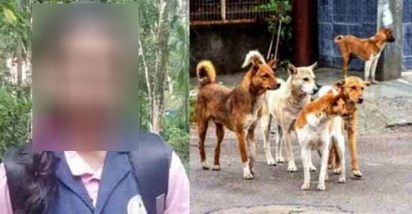 3 ஊசி செலுத்தியும்.. நாய் கடி ரேபீஸ் பாதிப்பால் 12 வயது சிறுமி பலி.. கேரள அதிர்ச்சி