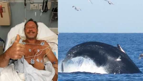 அப்படியே விழுங்கிய திமிங்கலம்! தொண்டை வரை போன நபர்.. உயிருடன் திரும்பி வந்த அதிசயம்! பரபர சம்பவம்