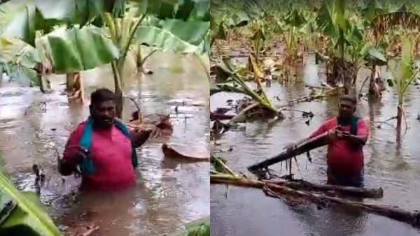 கொள்ளிடம் ஆற்றில் வெள்ளப்பெருக்கு.. வாழை தோட்டத்துக்குள் தண்ணீர் புகுந்தது