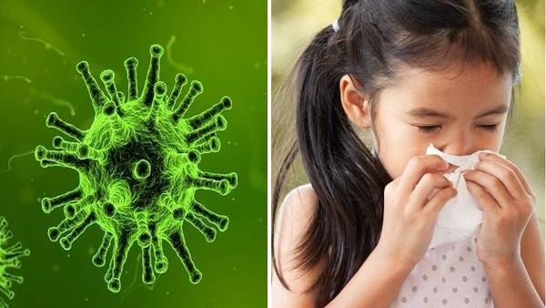 உலுக்கும் இன்புளுயன்ஸா! தடுப்பது ரொம்பவே ஈஸி.. இதை மட்டும் செய்யுங்கள் போதும்! மருத்துவர்கள் அட்வைஸ்