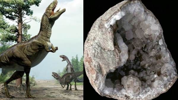 பீரங்கி குண்டு வடிவில்.. 2 டைனோசர் முட்டைகள் சீனாவில் கண்டுபிடிப்பு.. ஆய்வாளர்கள் தகவல்!