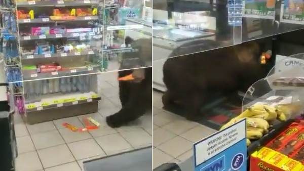 நேரா வர்றாரு.. அவரோட செக்ஷனுக்கு போறாரு.. ஒன்னோ ரெண்டோ எடுக்குறாரு.. விடு ஜூட்.. ஏன்டா இப்படி பண்றே!