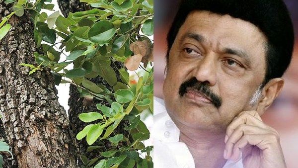 சந்தனம், செம்மரம் வளர்க்க உழவர்கள் ஊக்குவிக்கப்படுவர்! முதல்வர் ஸ்டாலின் தந்த உறுதி!