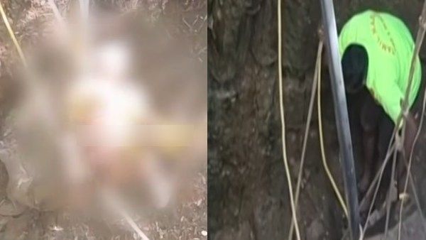 ஜாக்கிரதையாக இருக்க வேண்டாமா? கிணற்றில் விழுந்த மலைப்பாம்பு.. மீட்கச் சென்றவருக்கு நேர்ந்த விபரீதம்