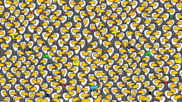 தூக்கான் பறவைகளுக்கு மத்தியில் ஒரு பென்குயின் இருக்கு.. 13 செகண்டில் கண்டுபிடித்தா நீங்க ஜீனியஸ்!