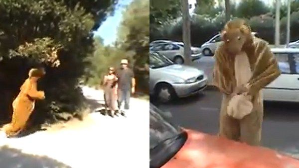 'பிராங்க்' அட்டகாசம்.. ஊரையே கலங்கடித்த 'கங்காரு மனிதன்'.. போலீஸில் சிக்கி சின்னாபின்னமான யூடியூபர்