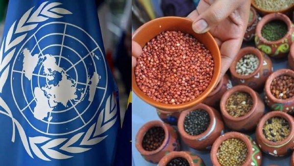 2023ஆம் ஆண்டு சர்வதேச சிறுதானியங்கள் ஆண்டு! ஐ.நா.சபையின் அறிவிப்பை நடைமுறைப்படுத்த அரசு தீவிரம்!