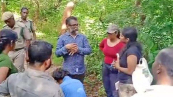 கண்ணை குறிவைத்து கடிக்கும் ‘மஞ்சள் பைத்தியம் எறும்பு’! கரந்தமலைக்கு வந்தது எப்படி? விஞ்ஞானிகள் ஆய்வு