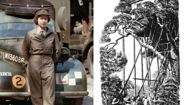 எலிசபெத் ராணி ஆகும்போது எங்கு இருந்தார் தெரியுமா..? ‘மரத்தில் ஏறும்போது இளவரசி.. இறங்கும்போது அரசி”!