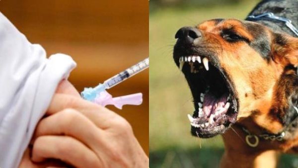 கேரளாவை மிரட்டும் 'ரேபீஸ்' - தடுப்பூசி செலுத்தியும் பாதிப்பு - தொடரும் திடுக் சம்பவங்கள்