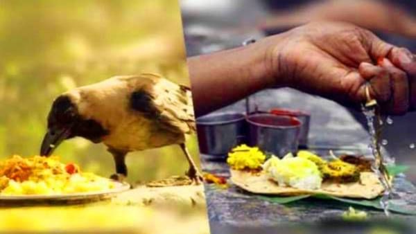 மகாளய அமாவாசை..காகம் வடிவத்தில் வீடு தேடி வரும் முன்னோர்கள்..உணவிட மறந்துவிடாதீர்கள்