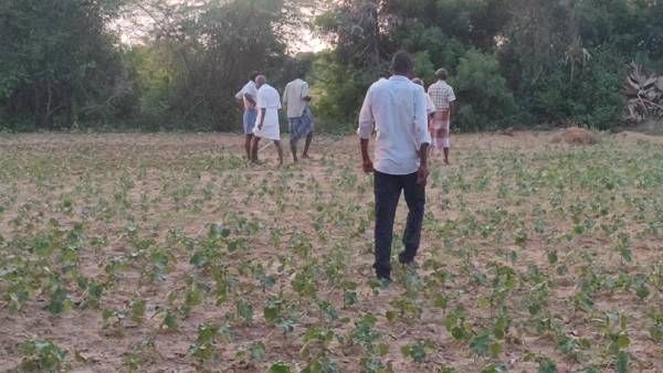 தீப்பெட்டி சைஸ்.. நூலில் சுற்றப்பட்டு இருந்த மர்ம பொருள்.. கை வைச்சதும்.. விவசாயிக்கு நேர்ந்த கதி