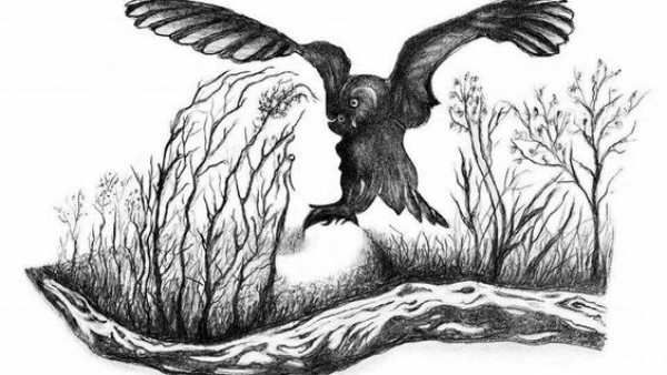 ''ஆந்தை அருகில் ஒரு அழகான பெண்ணின் முகம் இருக்கிறது''.. 7 செகண்ட் டைம்.. கண்டுபிடிச்சா நீங்க கிரேட்!