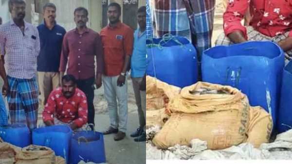 சினிமாவை மிஞ்சும் 