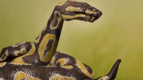 இந்த படத்தில் என்ன தெரியுதுன்னு சொல்லுங்க.. உங்க குணாதிசயத்தை சொல்லுறோம்