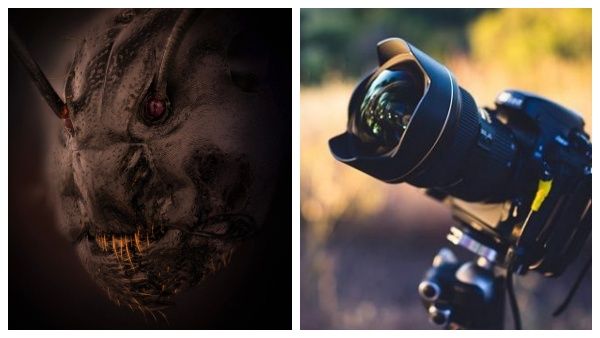 ஓ மைகாட்.. இது எந்த கிரகத்து ஏலியன்? புகைப்பட போட்டியில் வெற்றி பெற்ற இந்த படம் என்ன தெரியுமா?