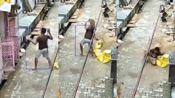 'நான் தான் ரியல் ஜான் சீனா'.. இளைஞரை பாய்ந்து சென்று தாக்கிய குரங்கு.. டிரண்ட் ஆகும் வீடியோ!