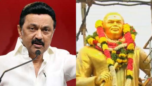 மொத்தமாக 