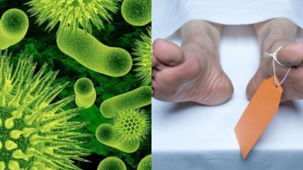 உஷார்..! மாமிசம் உண்ணும் பாக்டீரியா தாக்கி இளைஞர் பலி.. சதைகளை பிய்த்து தின்ற கொடூரம்!