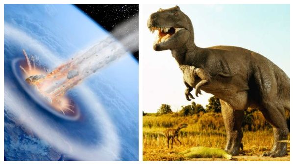 வேகமாக மோதியது விண்கல்.. 1 மாதங்களாக குலுங்கிய பூமி.. அழிந்தது டைனோசர் இனம்!