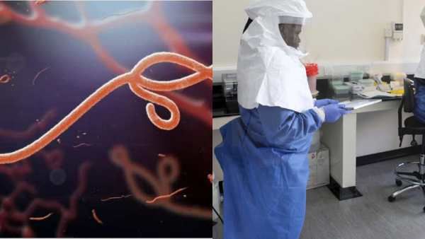 விந்தணுவில் பரவும் 