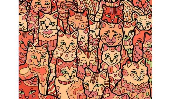 ஆப்டிகல் இல்யூஷன்: பூனைகளுக்கு மத்தியில் ஒரு 