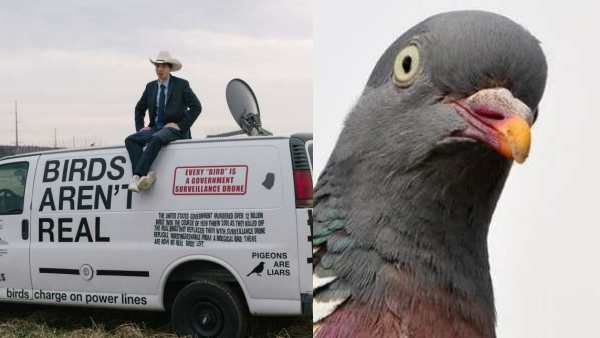 என்னது? உலகத்தில் இருக்கும் பறவைகள் எல்லாமே பொய்யா? அப்போ நாம் பார்ப்பது? புயலை கிளப்பும் 