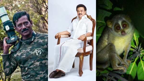 தேவாங்கு இனத்தை காக்க ஸ்டாலின் அறிவித்த சரணாலயம்! -இந்தியாவுக்கே முன்மாதிரியாக கொண்டாடப்படுவது ஏன்?