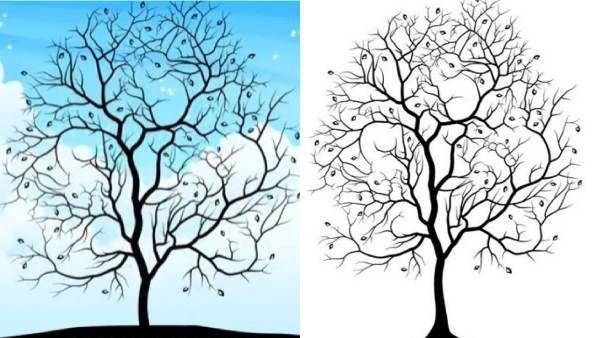 ஆப்டிகல் இல்யூஷன் படம்: மரத்தில் எத்தனை 'முயல்கள்' இருக்கு? 5 செகண்ட் டைம்.. கண்டுபிடிங்க பாஸ்!