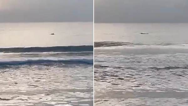 சென்னை பீச்சில் பார்த்தால்.. சட்டென தோன்றிய உருவம்.. உற்று கவனித்தால்.. என்னங்க இது? குட்நியூஸ்!