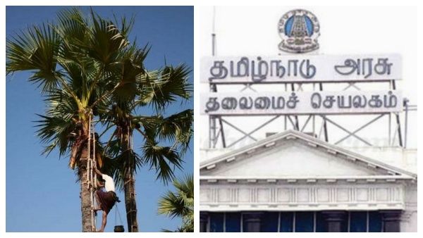 பனை மரம் ஏற சிறந்த கருவியை கண்டுபிடித்தால் ரூ.1 லட்சம் பரிசு! தமிழக அரசு அசத்தல் அறிவிப்பு!