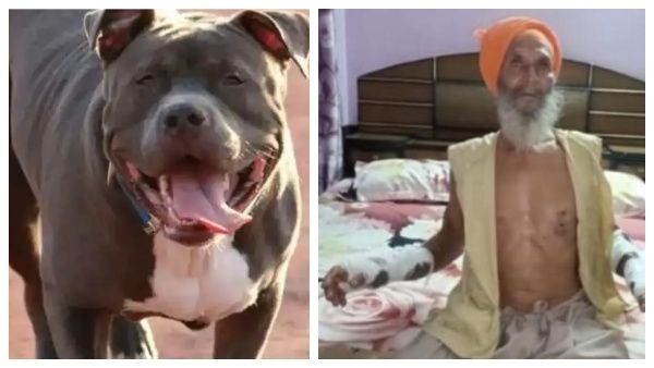 பஞ்சாப்பில் 5 கிராம மக்களை விரட்டி விரட்டி கடித்த 'பிட்புல் நாய்'.. 12 பேர் ஆஸ்பத்திரியில் அனுமதி!