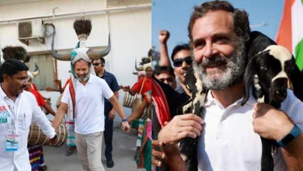 கழுத்தில் ஆட்டுக்குட்டி.. தலையில் கொம்பு! ஃபன் பண்ணும் ராகுல் காந்தி - அட இது அண்ணாமலை போஸ் ஆச்சே