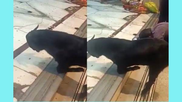 ஏய்.. அதென்ன கருப்பா.. யார் தெரியுதா.. பட்டப்பகலில்.. அதுவும் கோயிலுக்குள்ள.. 