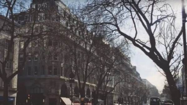 ஆப்டிகல் இல்யூஷன் படம்: 'நாய்' ஒன்று மறைந்திருக்கு.. 7 செகண்ட் டைம்.. கண்டுபிடிங்க பாஸ்!