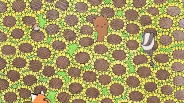 ஆப்டிகல் இல்யூஷன்: சூரிய காந்தி தோட்டத்தில் ஒரு 'பட்டாம் பூச்சி'.. கண்டுபிடிச்சா நீங்க ஜீனியஸ் தான்!