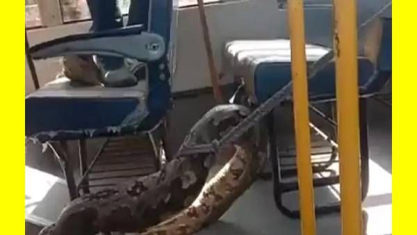 போயும் போயும்.. பஸ்ஸூக்குள்ளேயே.. அதுவும் சீட்டுக்கு அடியில்.. ஆமா, அதென்ன வயிறு பெரிசா இருக்கே..?