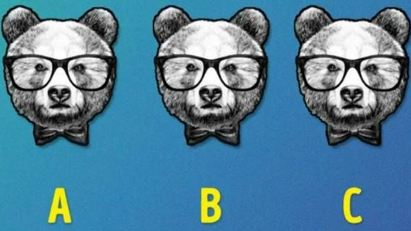 படத்தில் 3 கரடி இருக்கு.. ஒன்று மட்டும் வித்தியாசம்.. 7 செகண்டில் கண்டுபிடிச்சா நீங்க கில்லாடி!