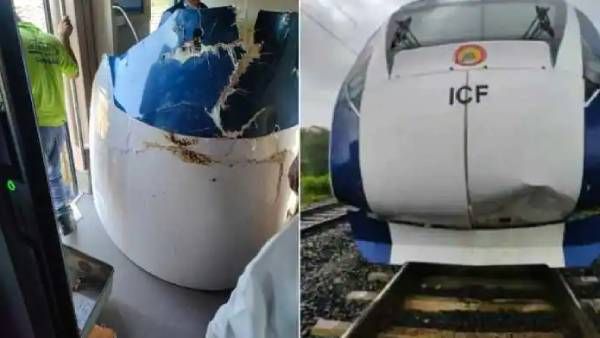 ‘ரிஷப’ ராசி இல்லை போல! மீண்டும் மோதிய மாடு.. டேமேஜான வந்தே பாரத் ரயில்! இதுக்கு எண்டே இல்லையா?