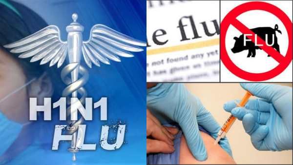கடவுளின் தேசத்துக்கு வந்த சோதனை! விடாமல் துரத்தும் ஆப்பிரிக்க பன்றி காய்ச்சல்! கொத்தாய் கொல்ல முடிவு