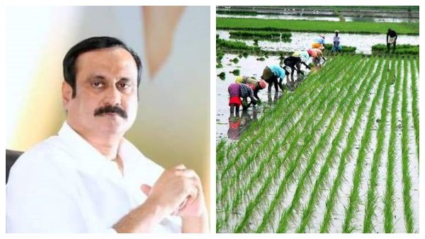 “லாஜிக் செக்”..உழவர் நிதித்திட்டம்! ஆர்டிஐயில் பரபர தகவல் - மத்திய அரசுக்கு அன்புமணி “கிடுக்குப்பிடி”